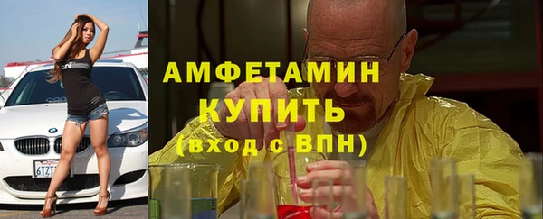 трава Корсаков