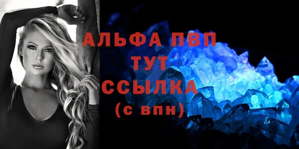 ПСИЛОЦИБИНОВЫЕ ГРИБЫ Коряжма
