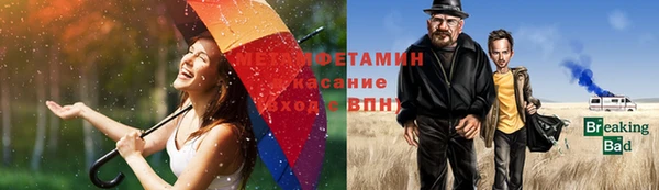трава Корсаков