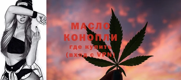 трава Корсаков