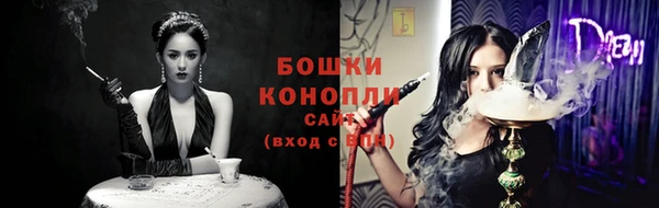 трава Корсаков