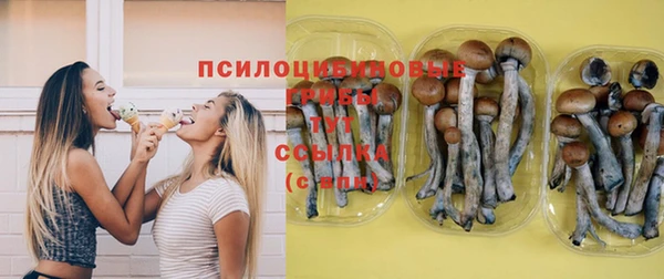 гидропоника Костерёво