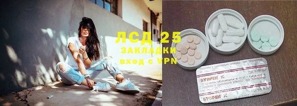ПСИЛОЦИБИНОВЫЕ ГРИБЫ Коряжма