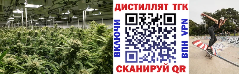 ТГК Wax  Купить  Старая Русса 