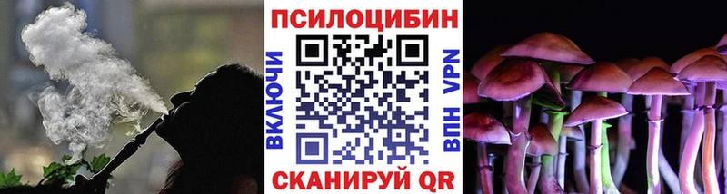 Псилоцибиновые грибы мицелий Старая Русса