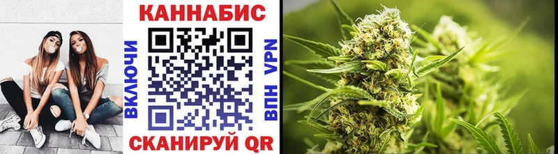 Купить  Старая Русса  Шишки марихуана VHQ 